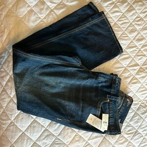 Melissa McCarthy Torrid Seven Jeans